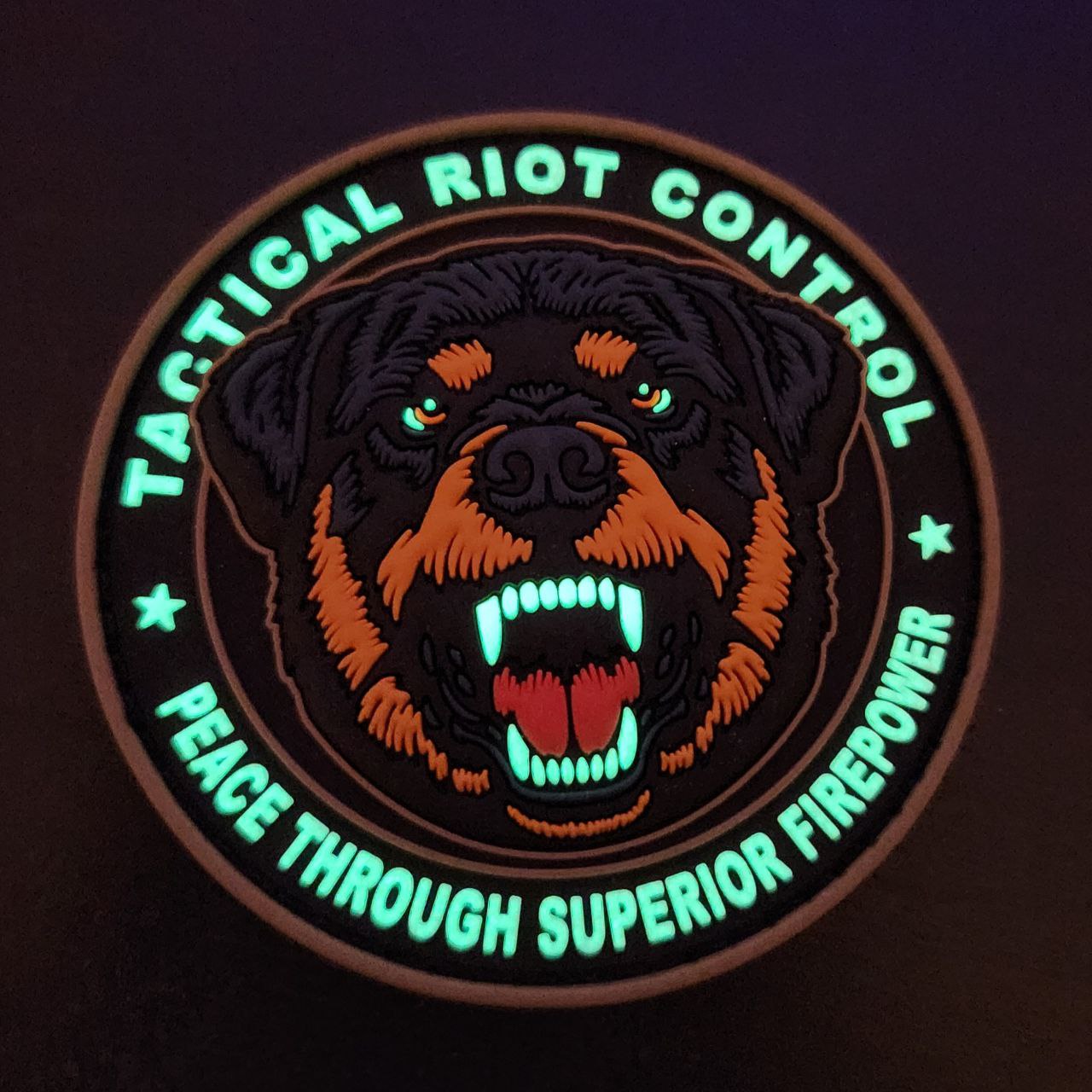Parche PVC 3D con velcro – ROTTWEILER - vista 6